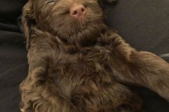 79808093_1069043053449892_4600145686116171776_n