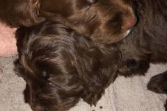 79925543_757058804801675_2535457101933707264_n