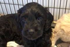 80072613_658034801397923_3383773169356636160_n