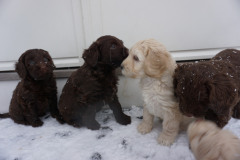 80091739_518166525574997_4424405472723861504_n