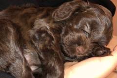 80202787_784070525402481_8353097399375233024_n