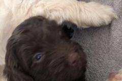 80207990_2599933043409528_8749291536677601280_n