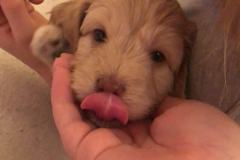 80267317_3376080125766846_6152200988326363136_n