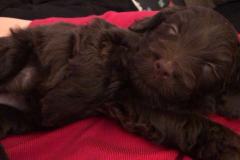 80320579_995510380826829_7524447171156901888_n