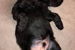 80433628_1465226843651415_8640973367710580736_n