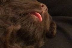 80435394_460953344615652_4660909895577501696_n