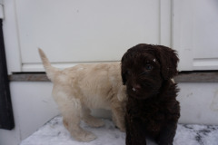 80447192_2507310839587767_7647755836843884544_n