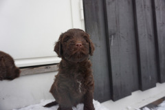 80455521_1495499497269850_56284322348400640_n