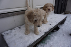 80479004_2496733217269177_2260395387569307648_n